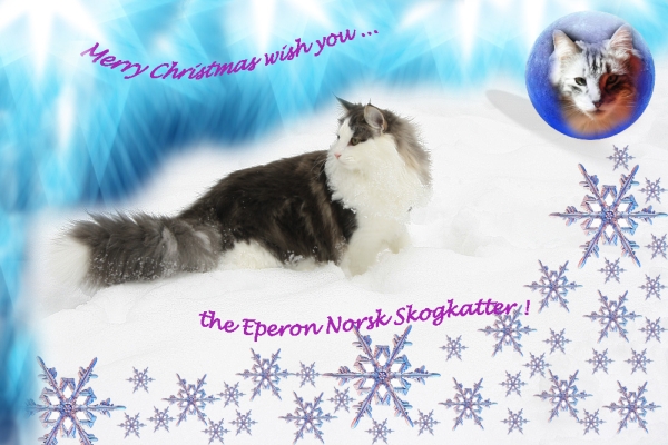 Eperon Cattery